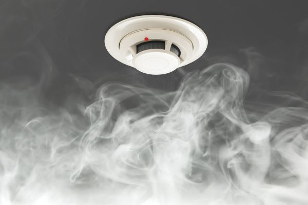 Smoke Mitigation Service in Zephyrhills