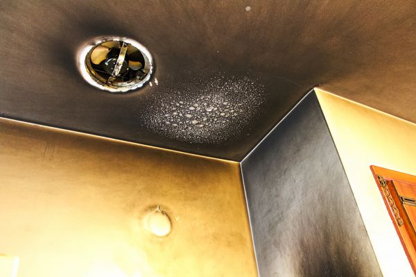 Cost of Smoke Damage Remediation in Zephyrhills